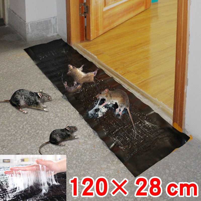 Large Non-Toxic Pest Control Trap