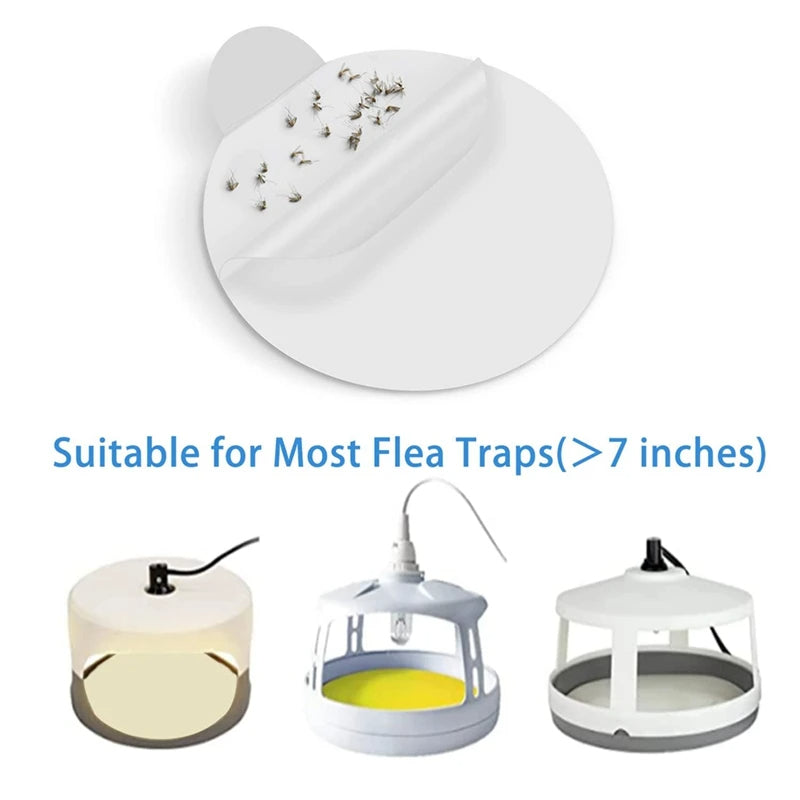 Bed Bug Trap Refill Glue Boards