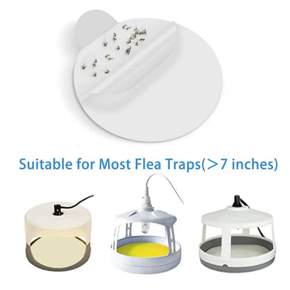 Bed Bug Trap Refill Glue Boards