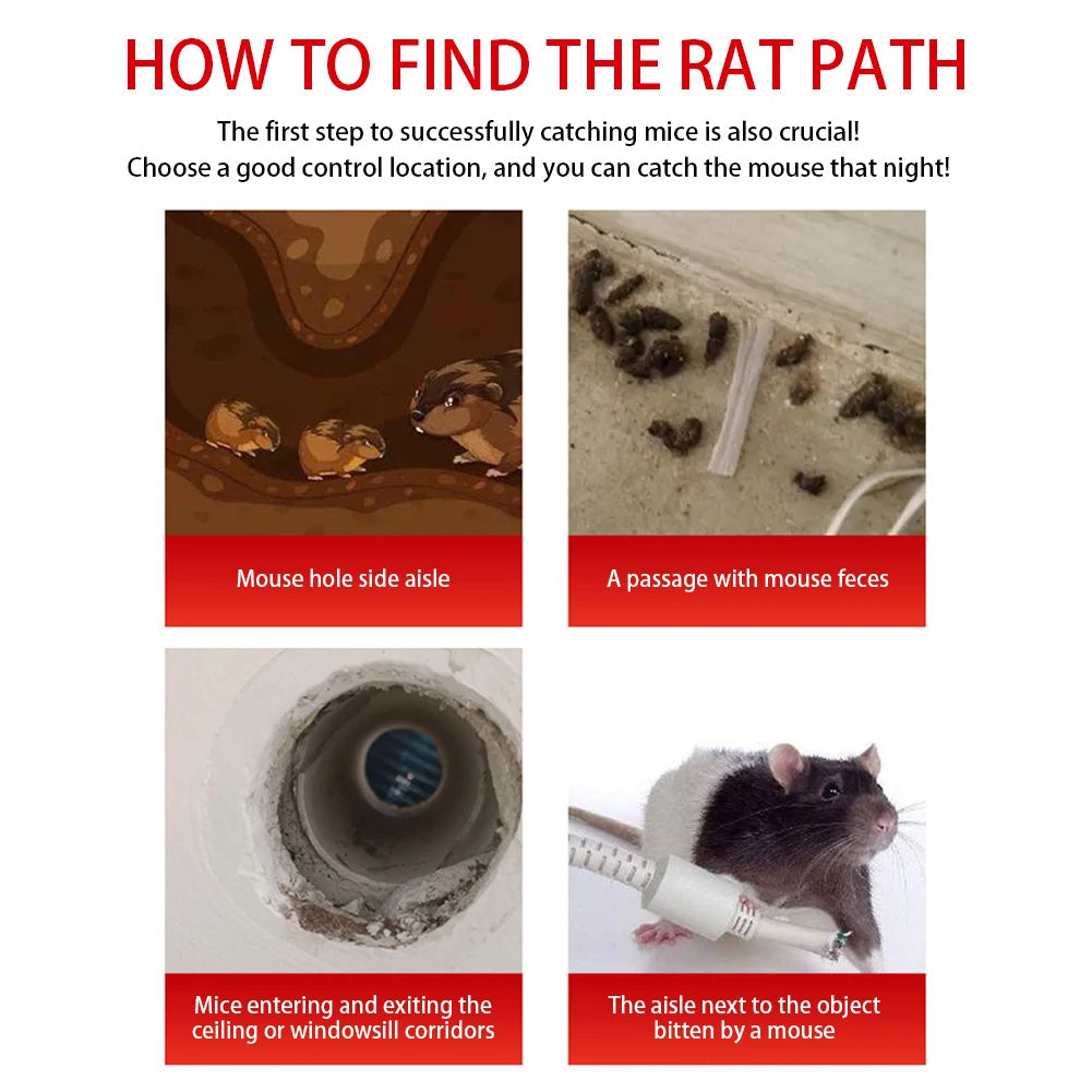 Reusable Mouse Trap Cage