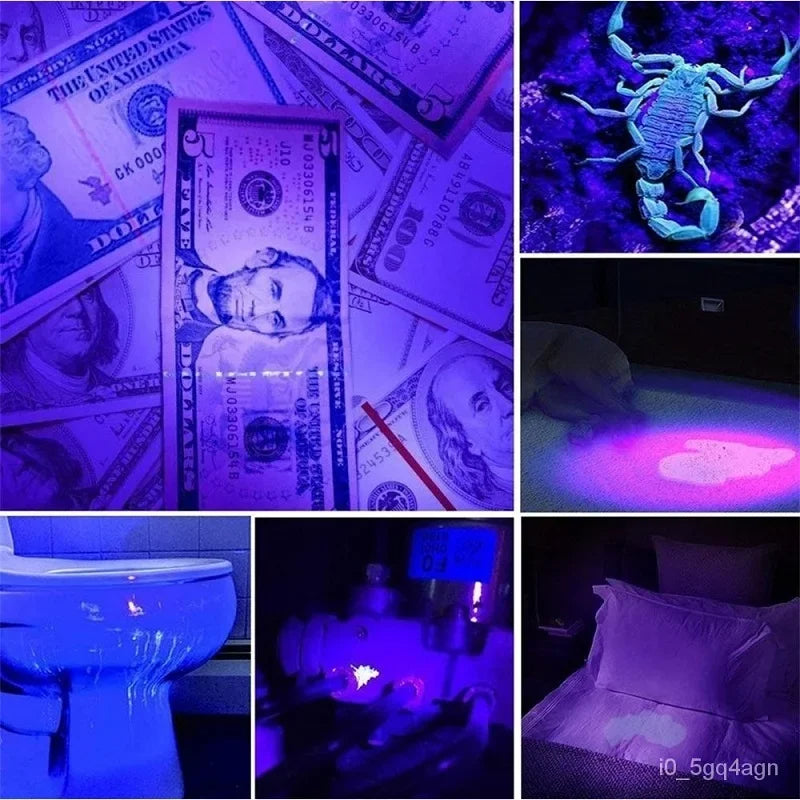 UV Flashlight Bug and Stain Detector