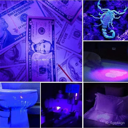 UV Flashlight Bug and Stain Detector
