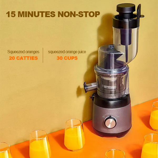 Automatic Fruit & Vegetable Juicer