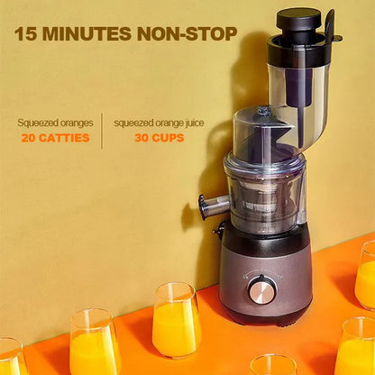 Automatic Fruit & Vegetable Juicer