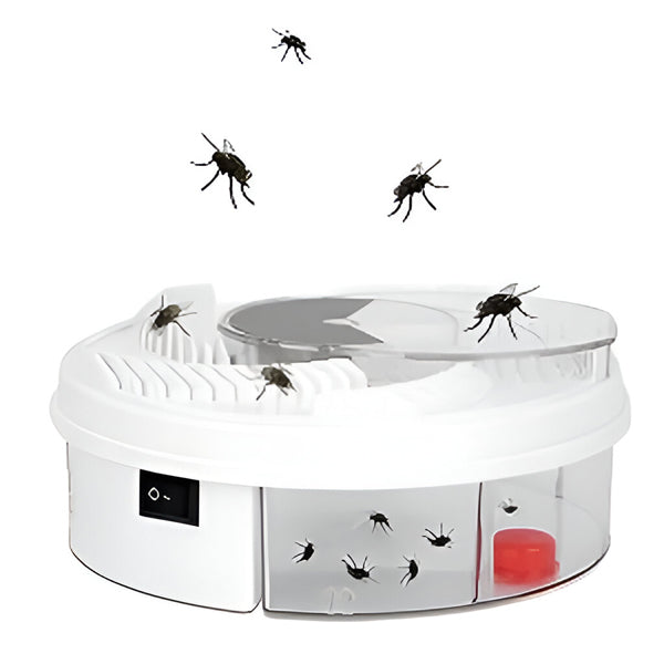 Highly Effective Indoor Fly Trap