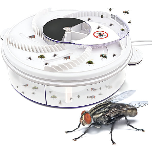 Highly Effective Indoor Fly Trap