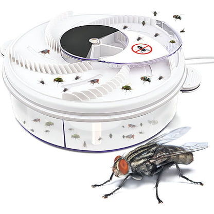Highly Effective Indoor Fly Trap
