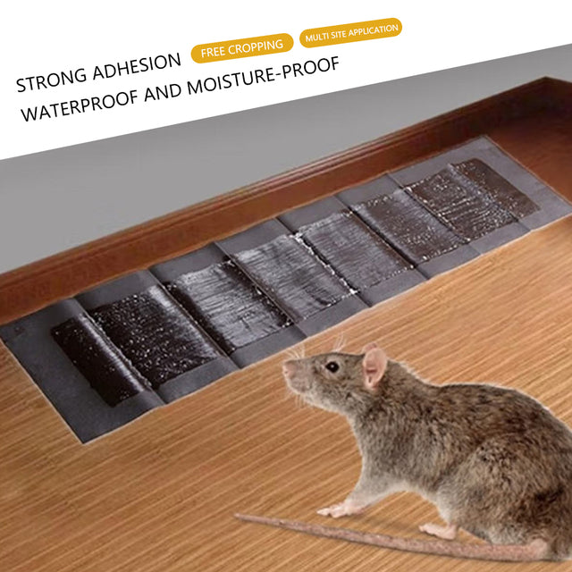 Extra-Large Glue Traps for Mice