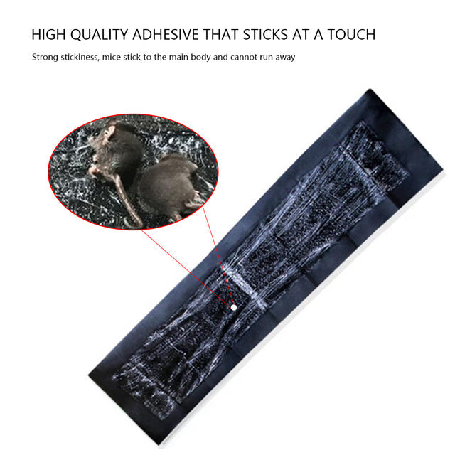 Extra-Large Glue Traps for Mice