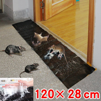 Large Non-Toxic Pest Control Trap