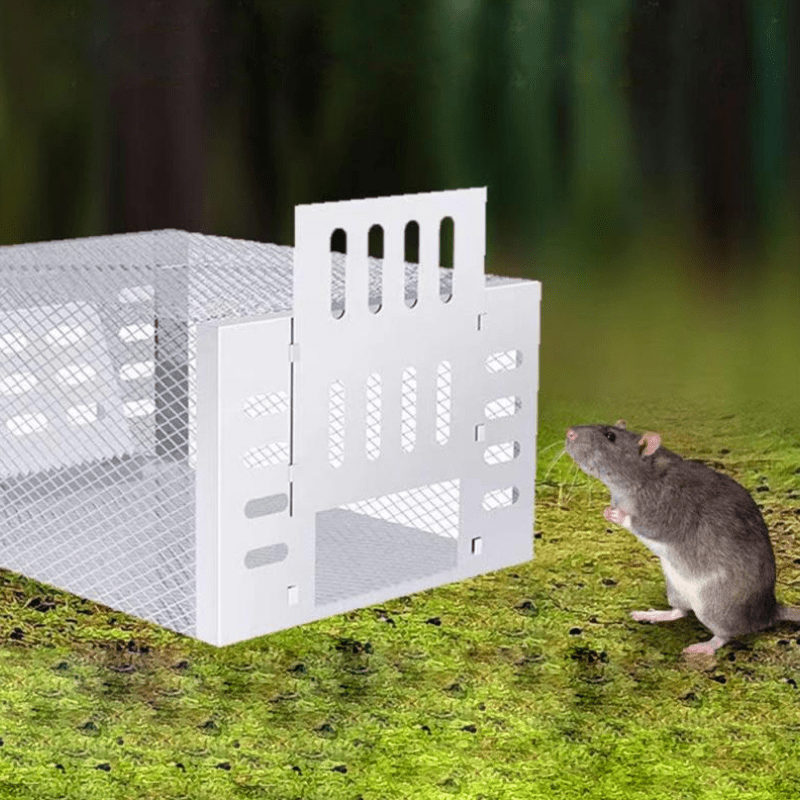 Humane Mouse Trap Reusable
