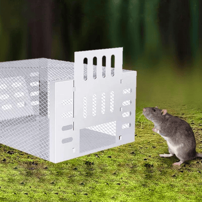 Humane Mouse Trap Reusable