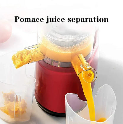 Automatic Fruit & Vegetable Juicer