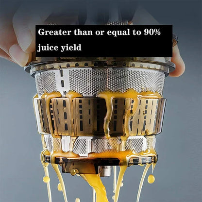 Automatic Fruit & Vegetable Juicer