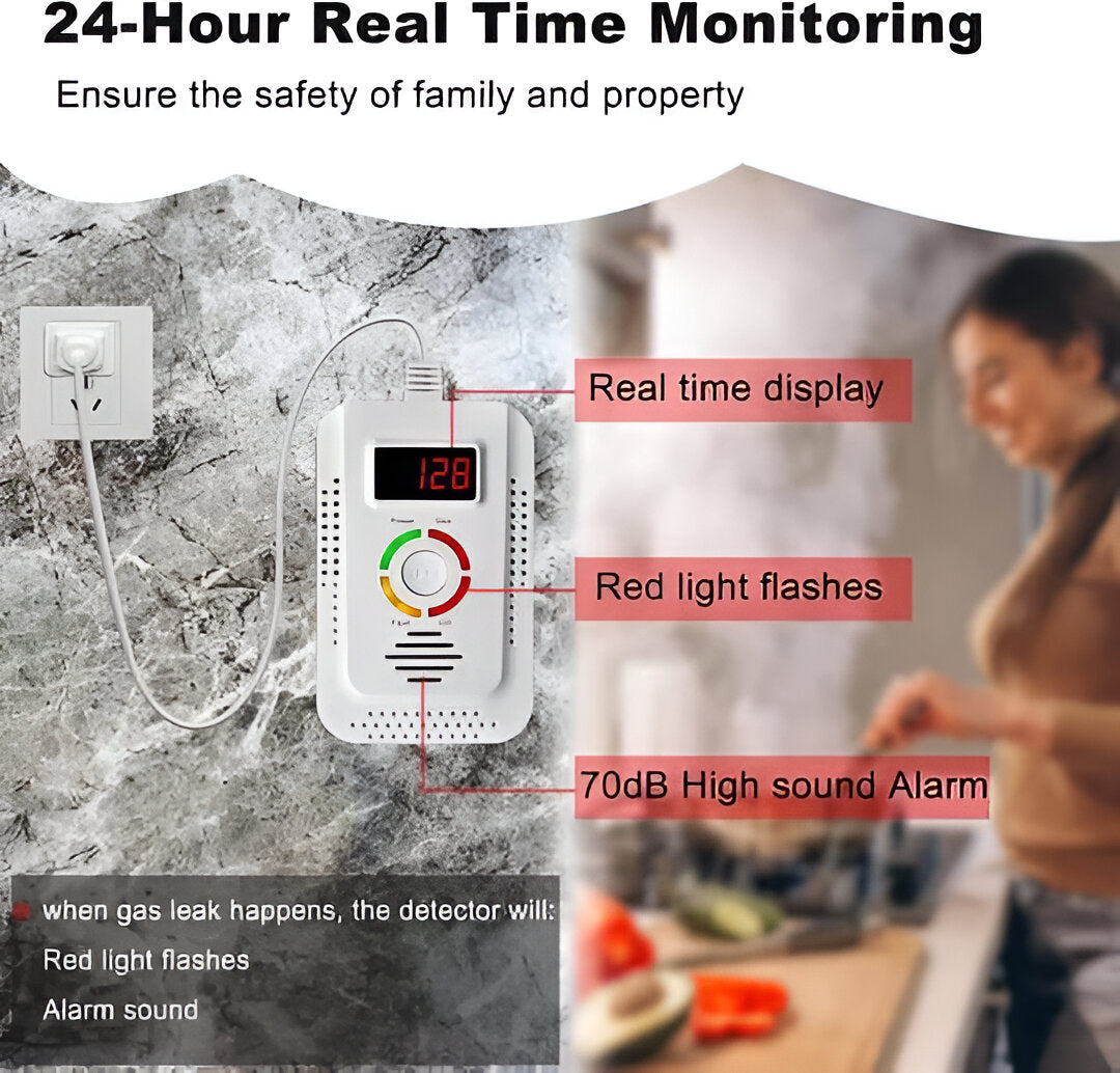 Plug-In Gas and CO Detection Unit
