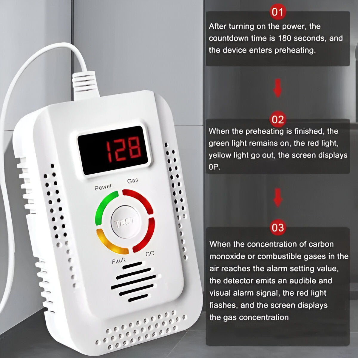 Plug-In Gas and CO Detection Unit