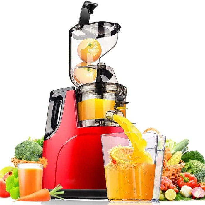 Automatic Fruit & Vegetable Juicer