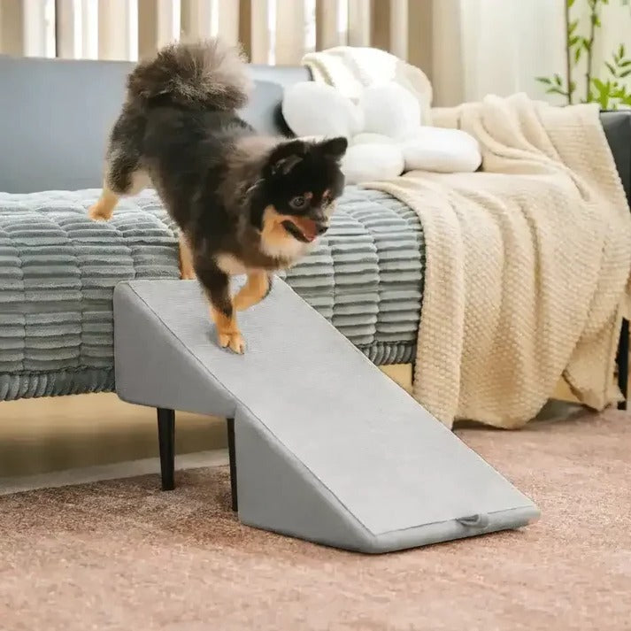 2-in-1 Dog Ramp and Step Stool