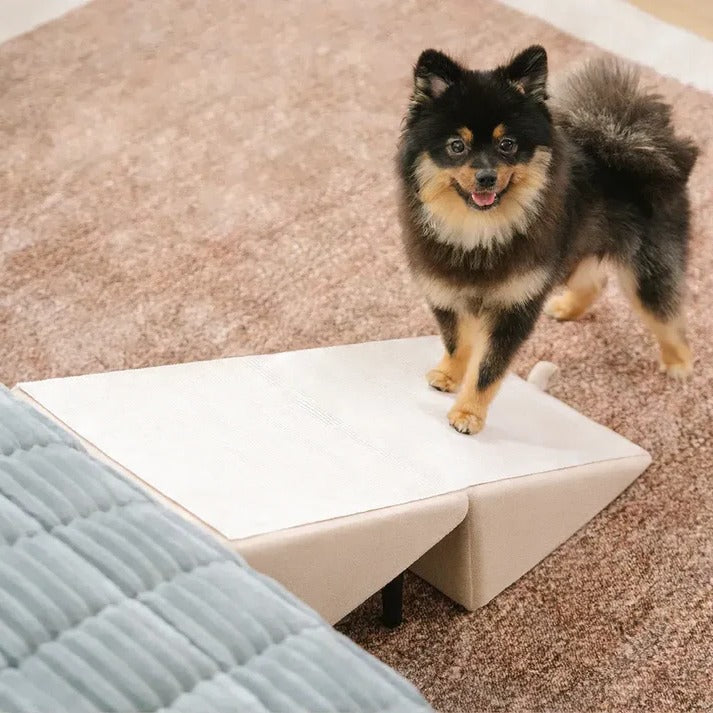 2-in-1 Dog Ramp and Step Stool