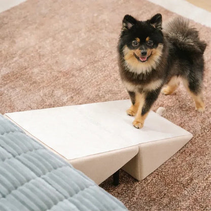 2-in-1 Dog Ramp and Step Stool