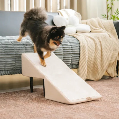 2-in-1 Dog Ramp and Step Stool