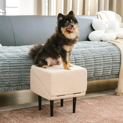 2-in-1 Dog Ramp and Step Stool
