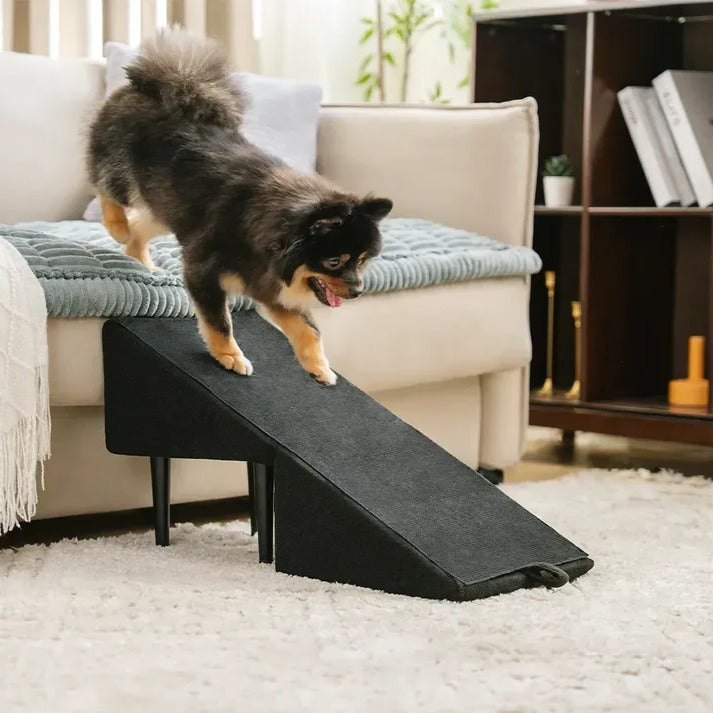2-in-1 Dog Ramp and Step Stool