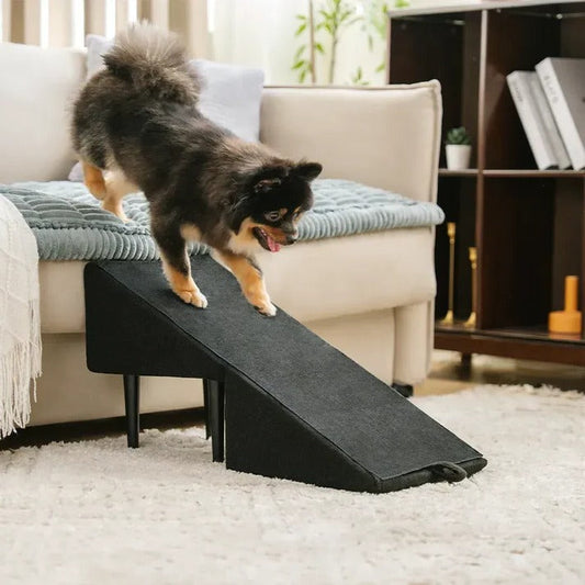 2-in-1 Dog Ramp and Step Stool
