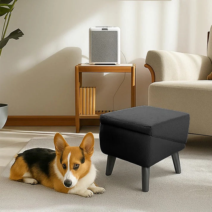 2-in-1 Dog Ramp and Step Stool