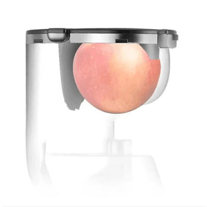 Automatic Fruit & Vegetable Juicer